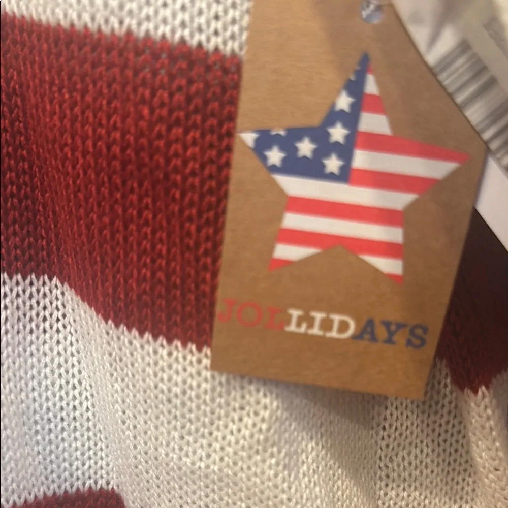 America inspired Blue and Red Relaxed Fit  sweater - Picture 4 of 4